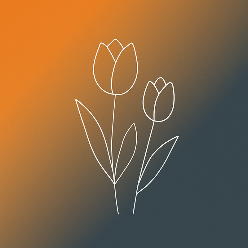 С международным женским днём!